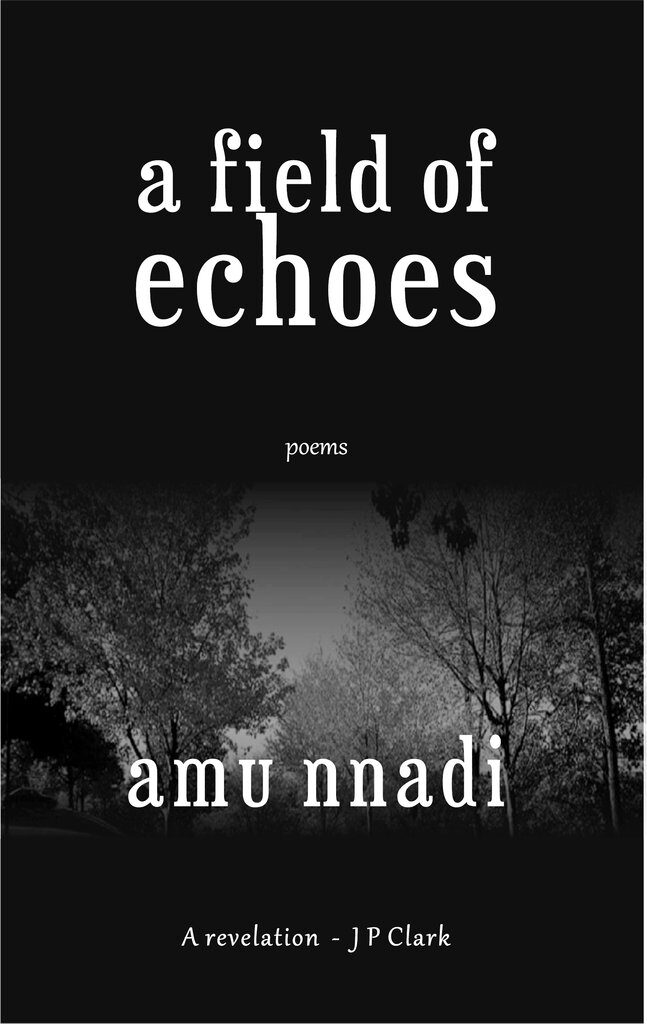 Cover of A Field of Echoes