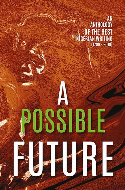 Cover of A Possible Future