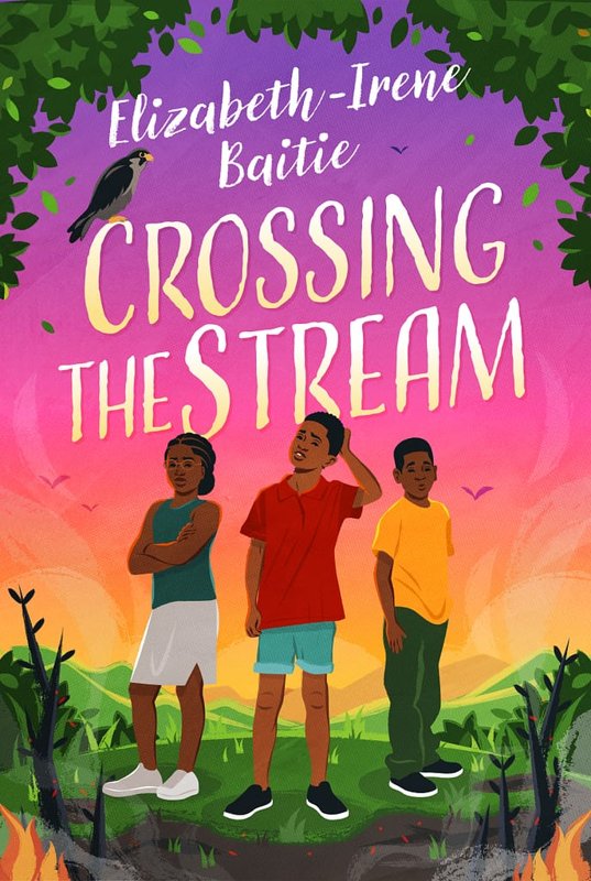 Cover of Crossing the Stream