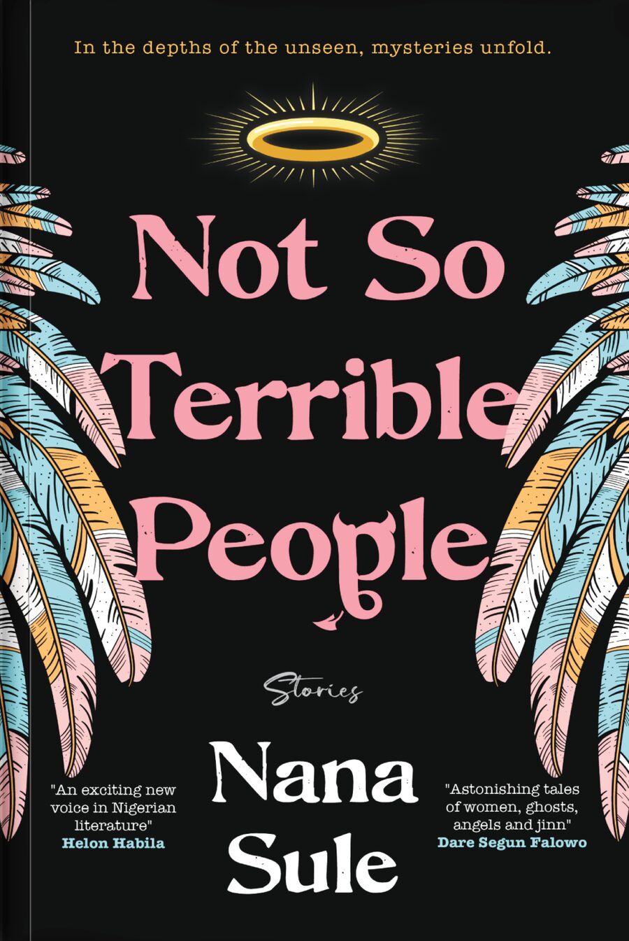Cover of Not So Terrible People