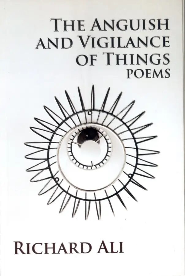 Cover of The Anguish and Vigilance of Things