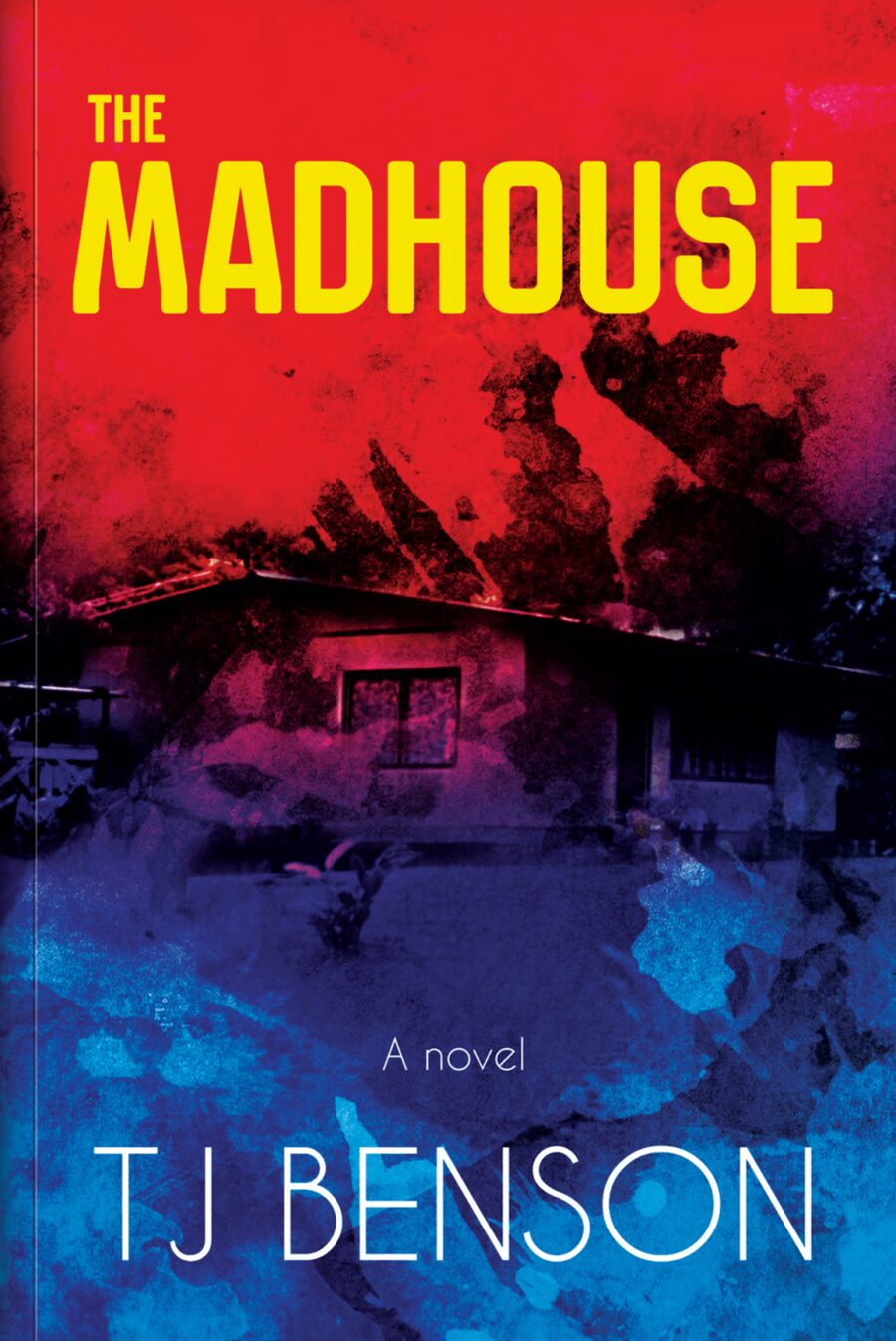 Cover of The Madhouse