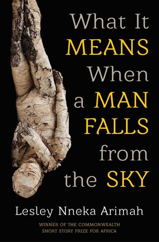 Cover of What it Means when a Man Fall from the Sky